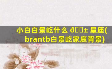 小白白景屹什么 🐱 星座(brantb白景屹家庭背景)